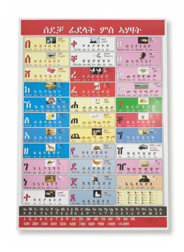 Ethiopian & Eritrean Fidel Alphabet and Number Educational Chart (Amharic and Tigrinya Learning Poster)